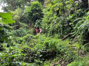 Two guests with raised arms in rainforest